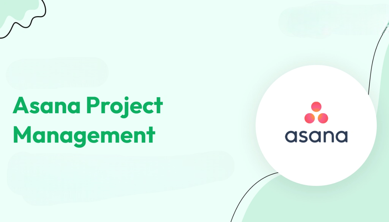 Asana Project Management