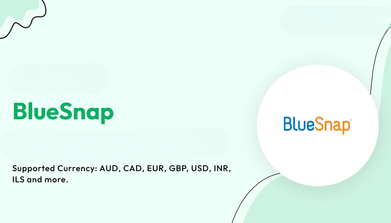 BlueSnap