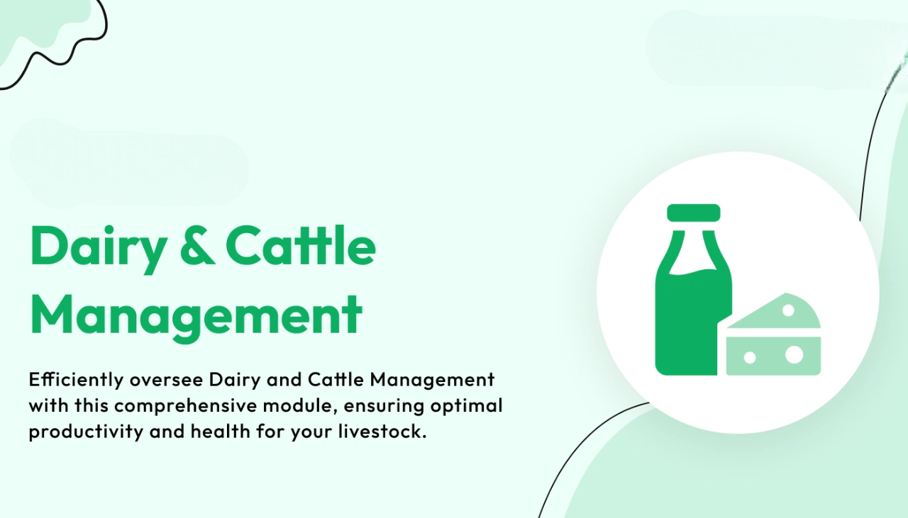Dairy and Cattle Management